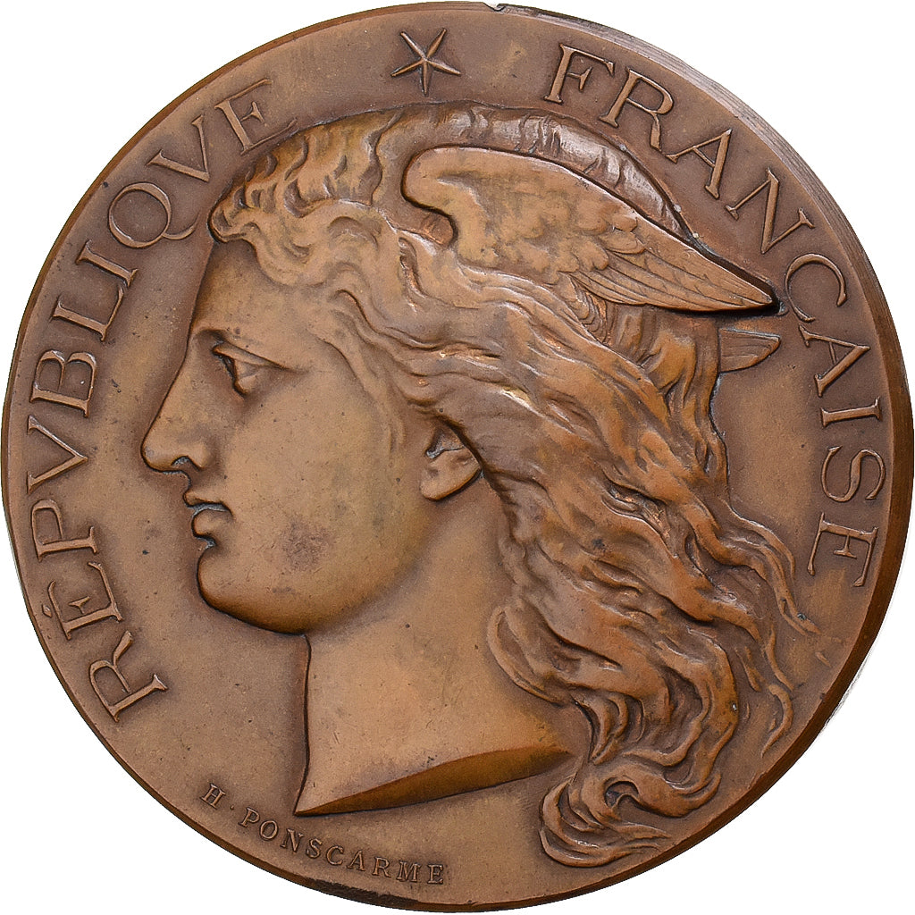 Francia, medaglia, Concours Agricole, Chevaline, Nantes, 1882, Bronzo