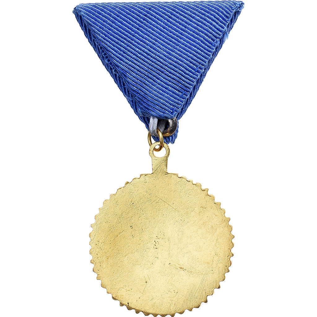 Hungary, Croix Rouge, Medal, Excellent Quality, Gilt Metal, 39