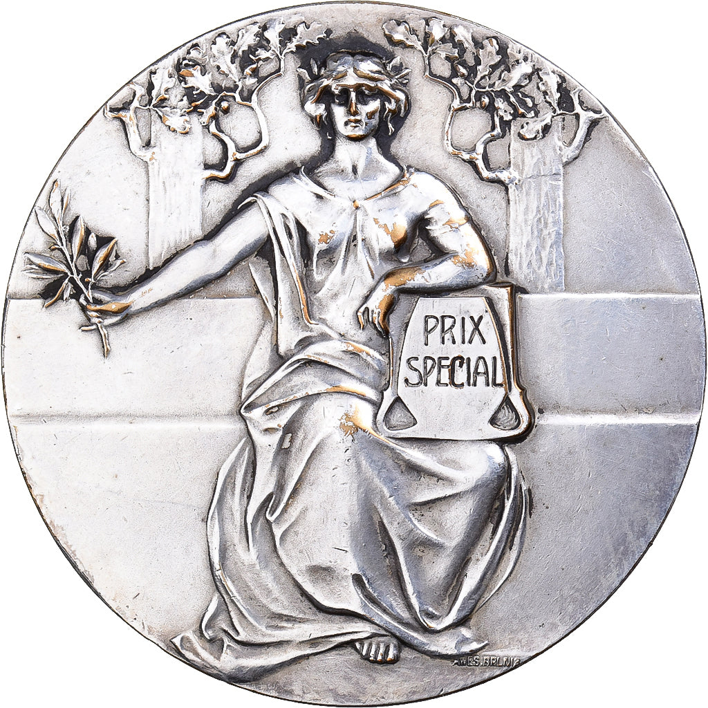 Bélgica, medalla, Concours Gevaert, 1907, Bronce plateado, MBC