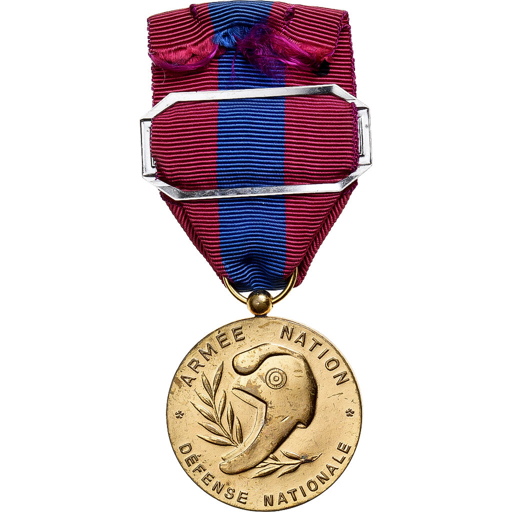 Francja, Défense Nationale, Infanterie, medal, Bardzo dobra jakość, Brązowy