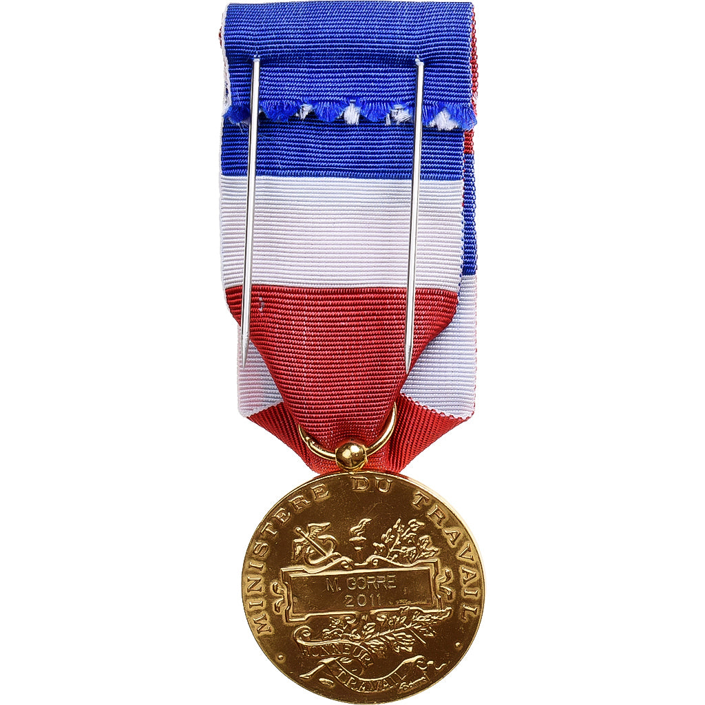 Francia, Honneur-Travail, République Française, medaglia, 2011, Eccellente