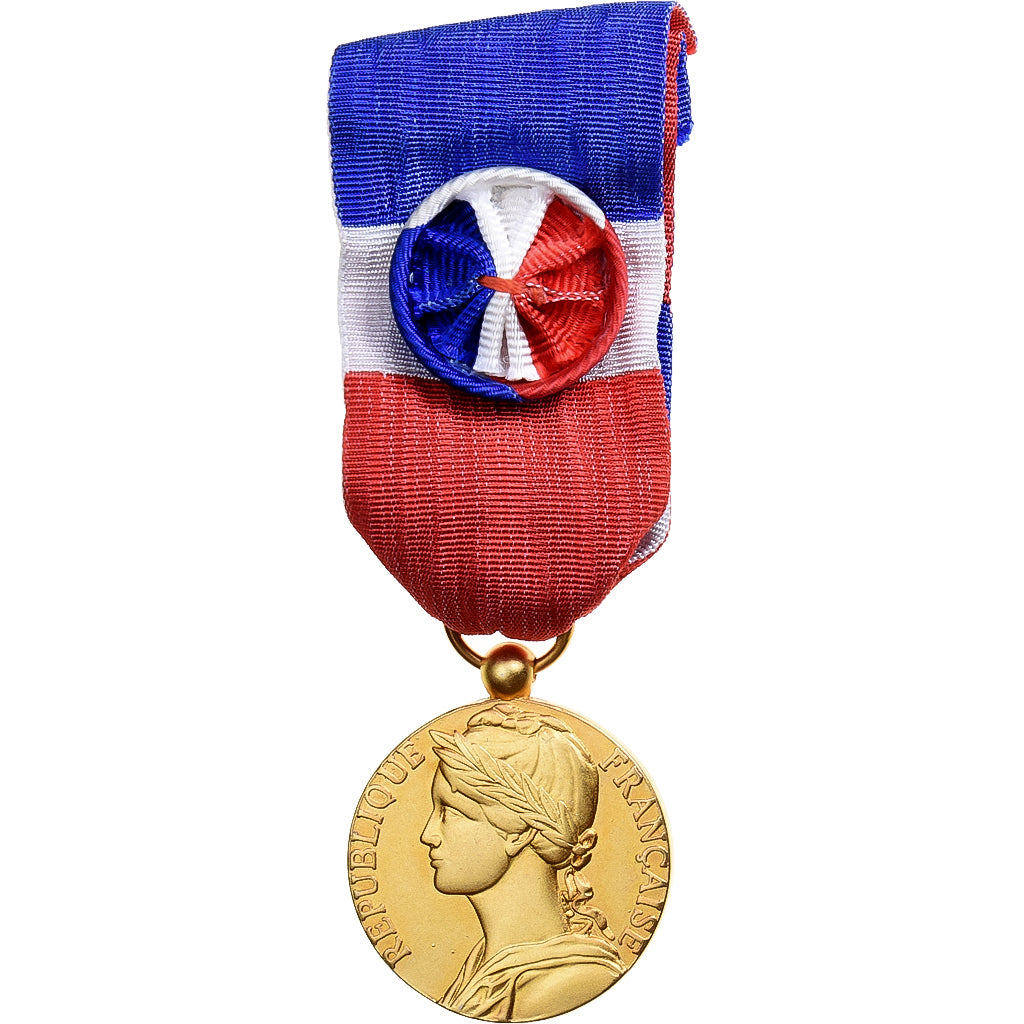 Francia, Honneur-Travail, République Française, medaglia, 2006, Eccellente
