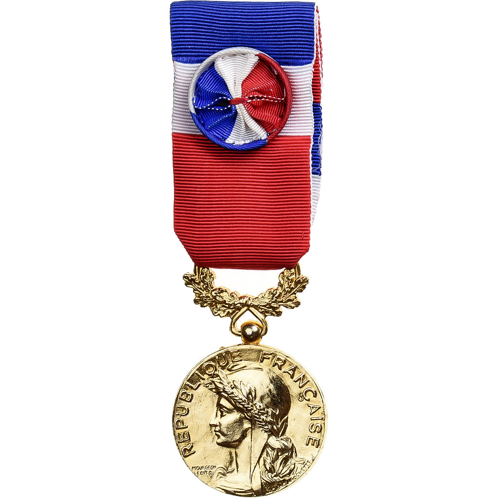 France, Honneur et Travail, Commerce et Industrie, Medal, 1988, Excellent