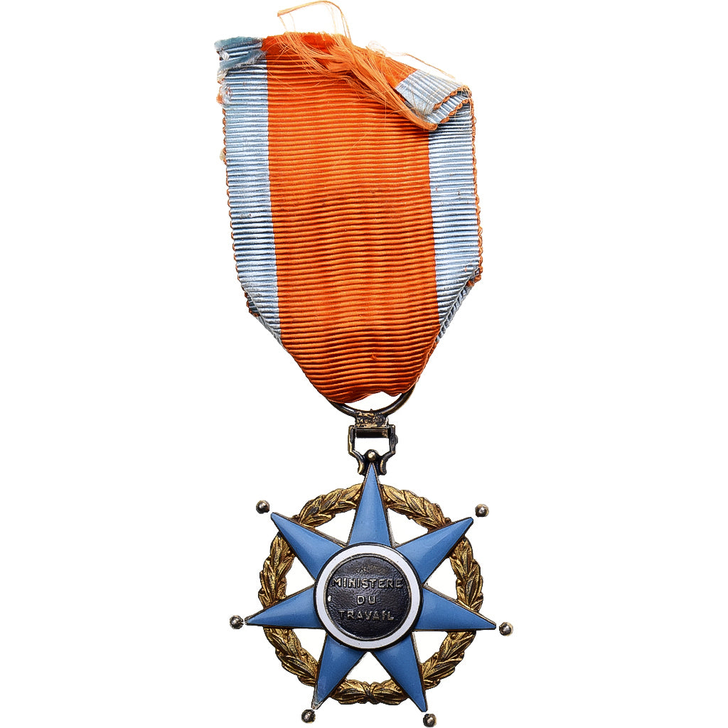 France, Mérite Social, Ministère du Travail, Officier, Medal, Very Good