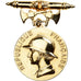 France, Ministère de l'Intérieur, Actes de dévouement, Medal, Excellent