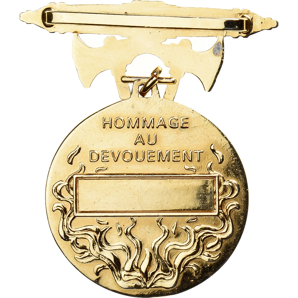 France, Ministère de l'Intérieur, Actes de dévouement, Medal, Excellent
