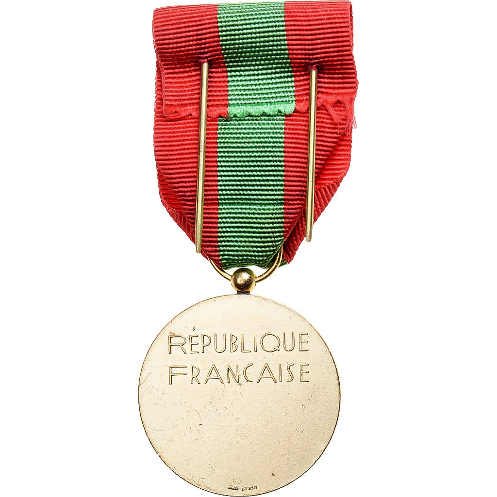 França, Famille Française, medalha, Qualidade Excelente, Bronze Dourado, 33