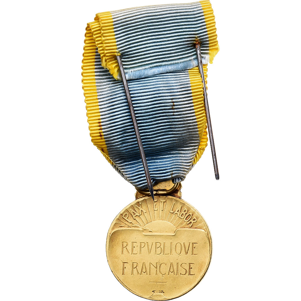 Frankreich, Jeunesse et sports, Medaille, Officier, Very Good Quality, Gilt