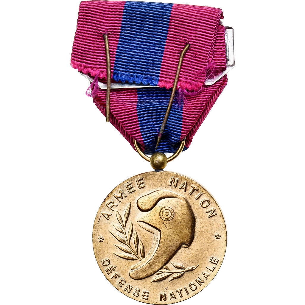 France, Défense Nationale, Infanterie, Medal, Excellent Quality, Bronze, 36