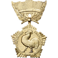 Francja, Collectivités locales, medal, Doskonała jakość, Crouzat, Vermeil