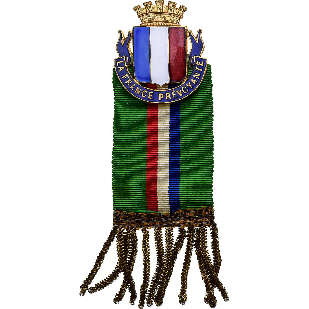 France, La France Prévoyante, Broche, Excellent Quality, Laiton, 26