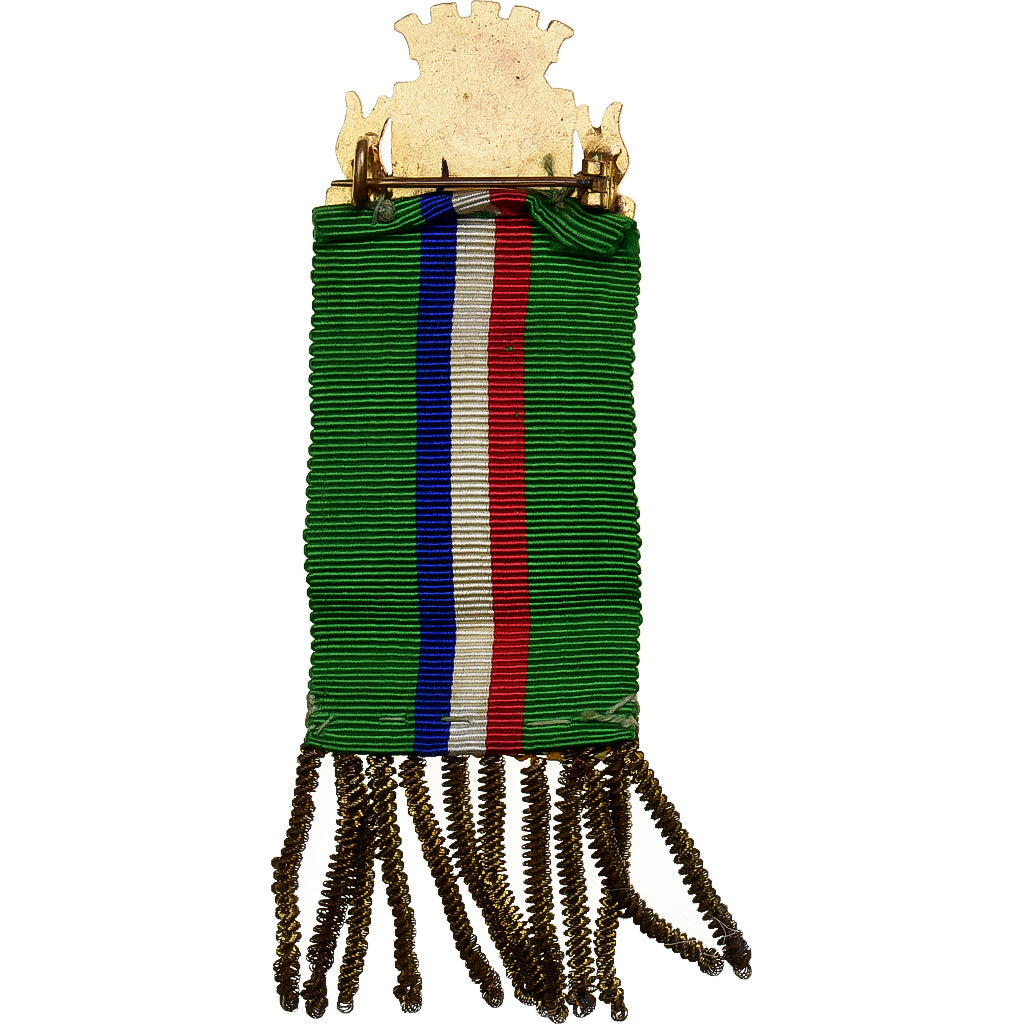 France, La France Prévoyante, Broche, Excellent Quality, Laiton, 26