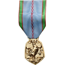 Frankrijk, Libération de la France, WAR, Medaille, 1939-1945, Excellent