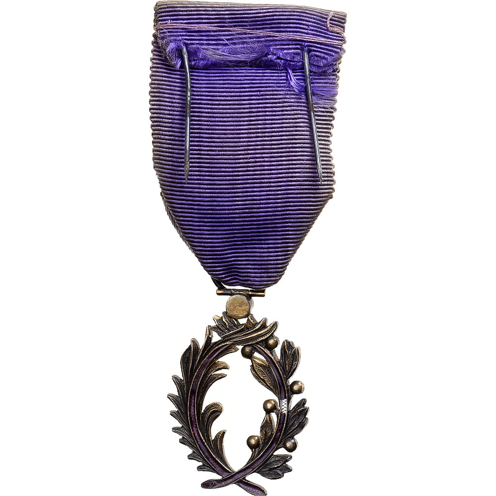 Francia, Palmes Académiques Officier, medaglia, Ottima qualità, Argento, 36 X