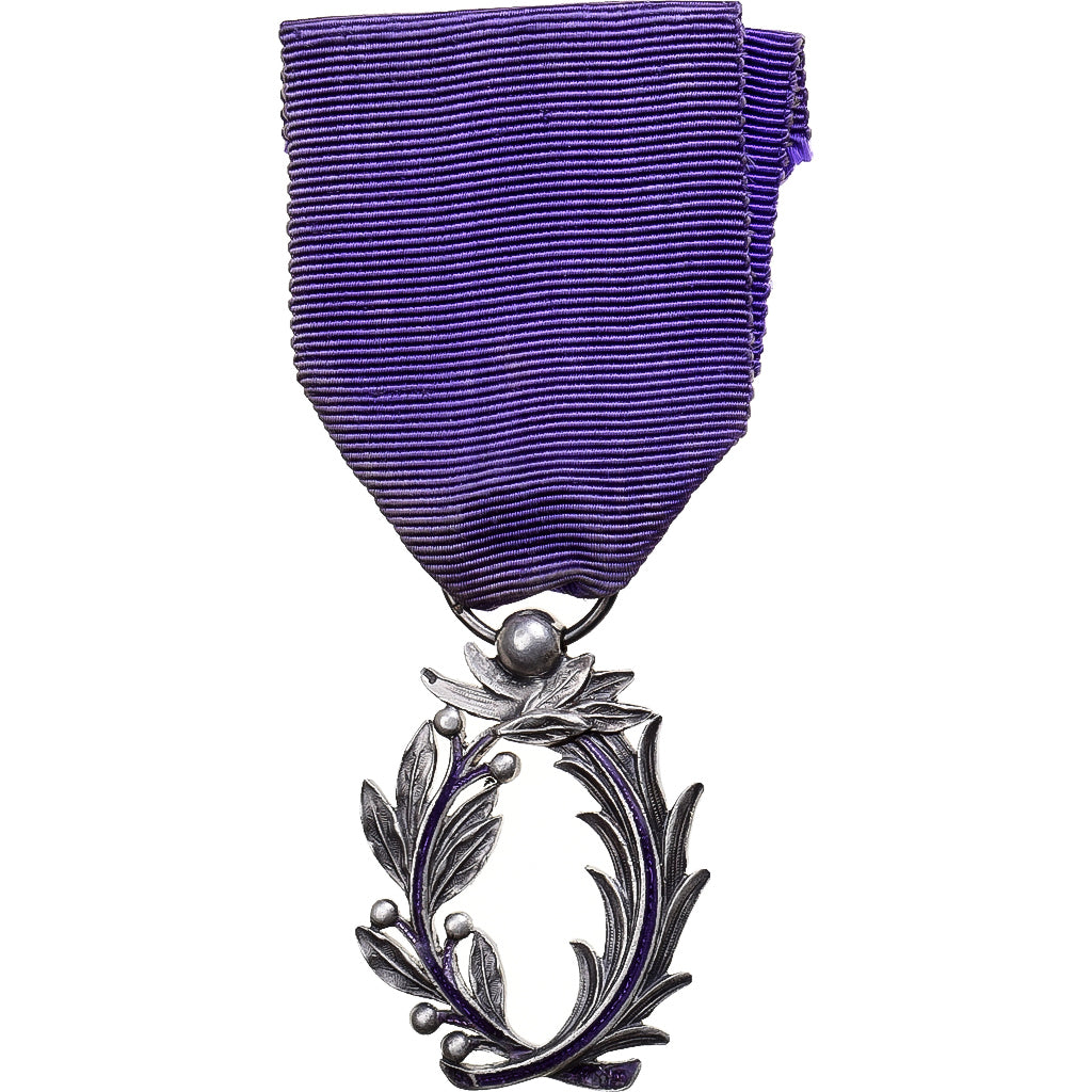Frankrijk, Ordre des Palmes Académiques, Medaille, Heel goede staat, Zilver, 28