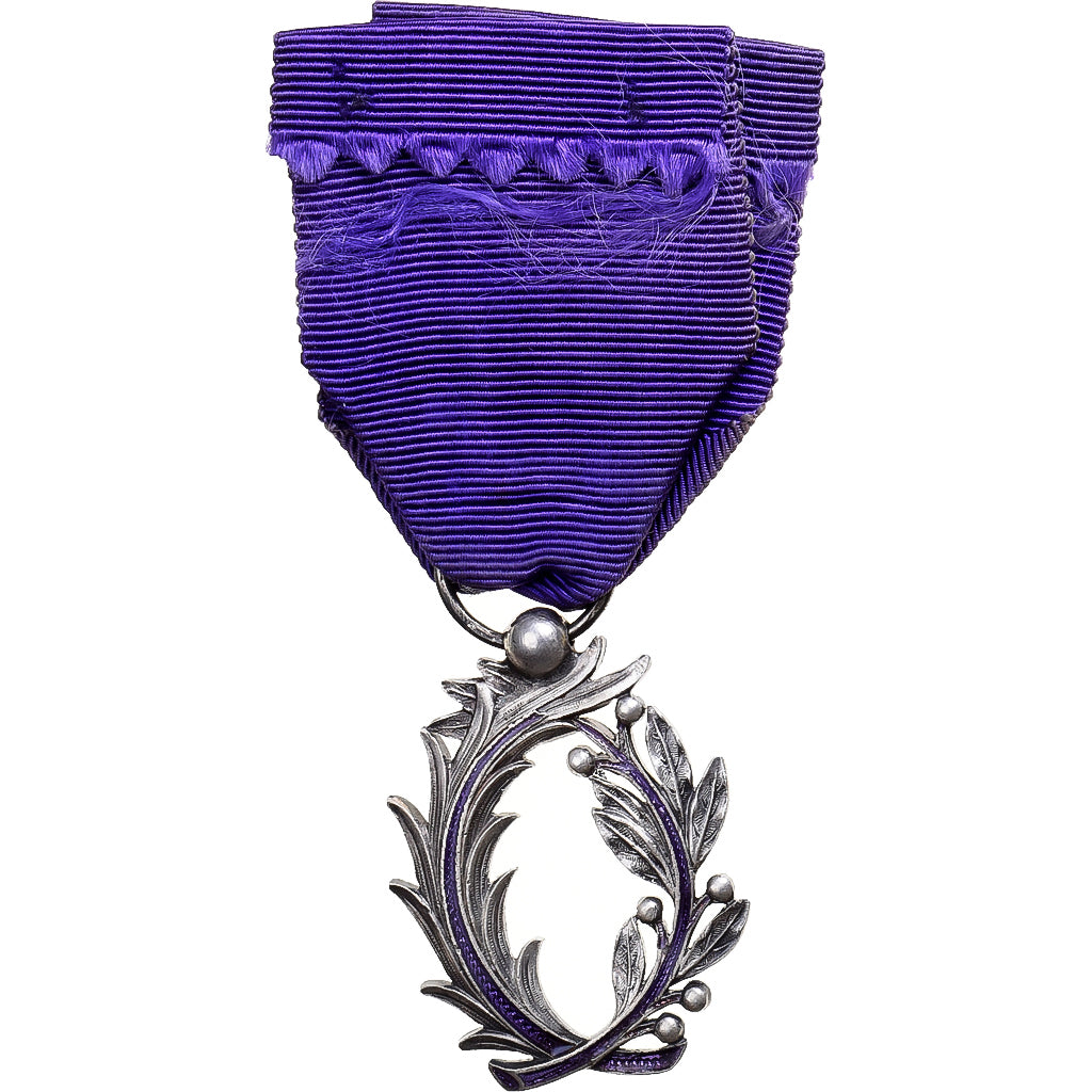 Frankrijk, Ordre des Palmes Académiques, Medaille, Heel goede staat, Zilver, 28