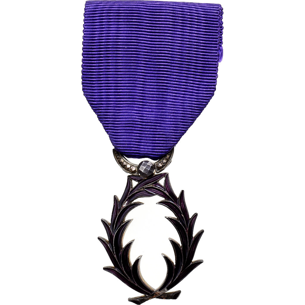 Frankrijk, Ordre des Palmes Académiques, Medaille, Excellent Quality, Silvered
