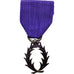 Frankrijk, Ordre des Palmes Académiques, Medaille, Excellent Quality, Silvered
