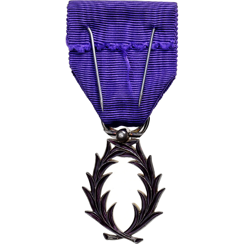 Frankrijk, Ordre des Palmes Académiques, Medaille, Excellent Quality, Silvered