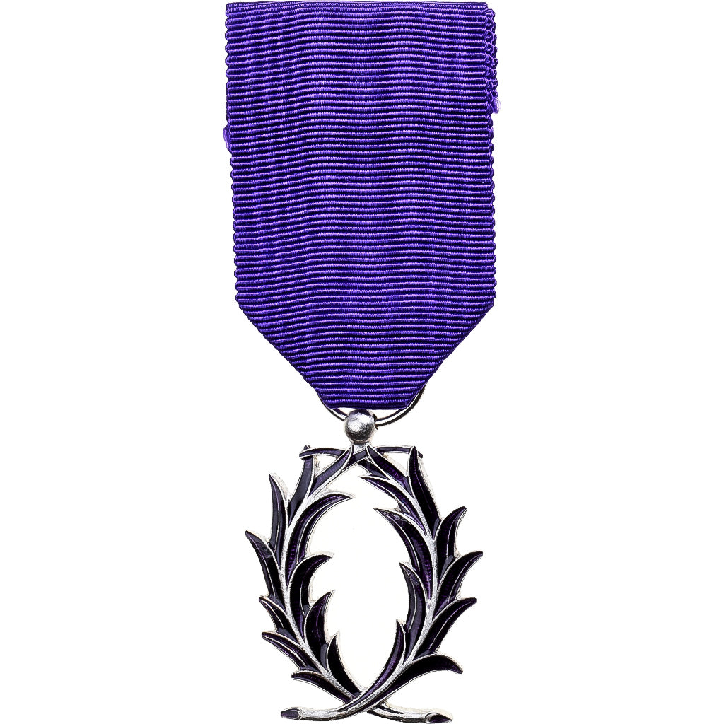 France, Ordre des Palmes Académiques, Medal, Excellent Quality, Silvered