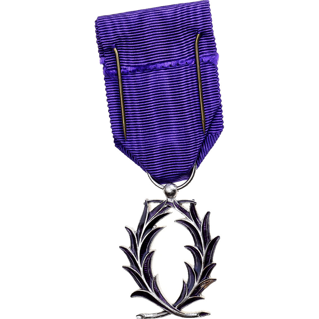 France, Ordre des Palmes Académiques, Medal, Excellent Quality, Silvered