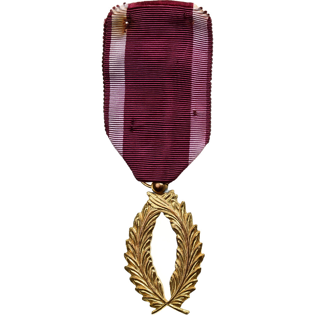 België, Ordre des Palmes Académiques, Medaille, Heel goede staat, Gilt Bronze