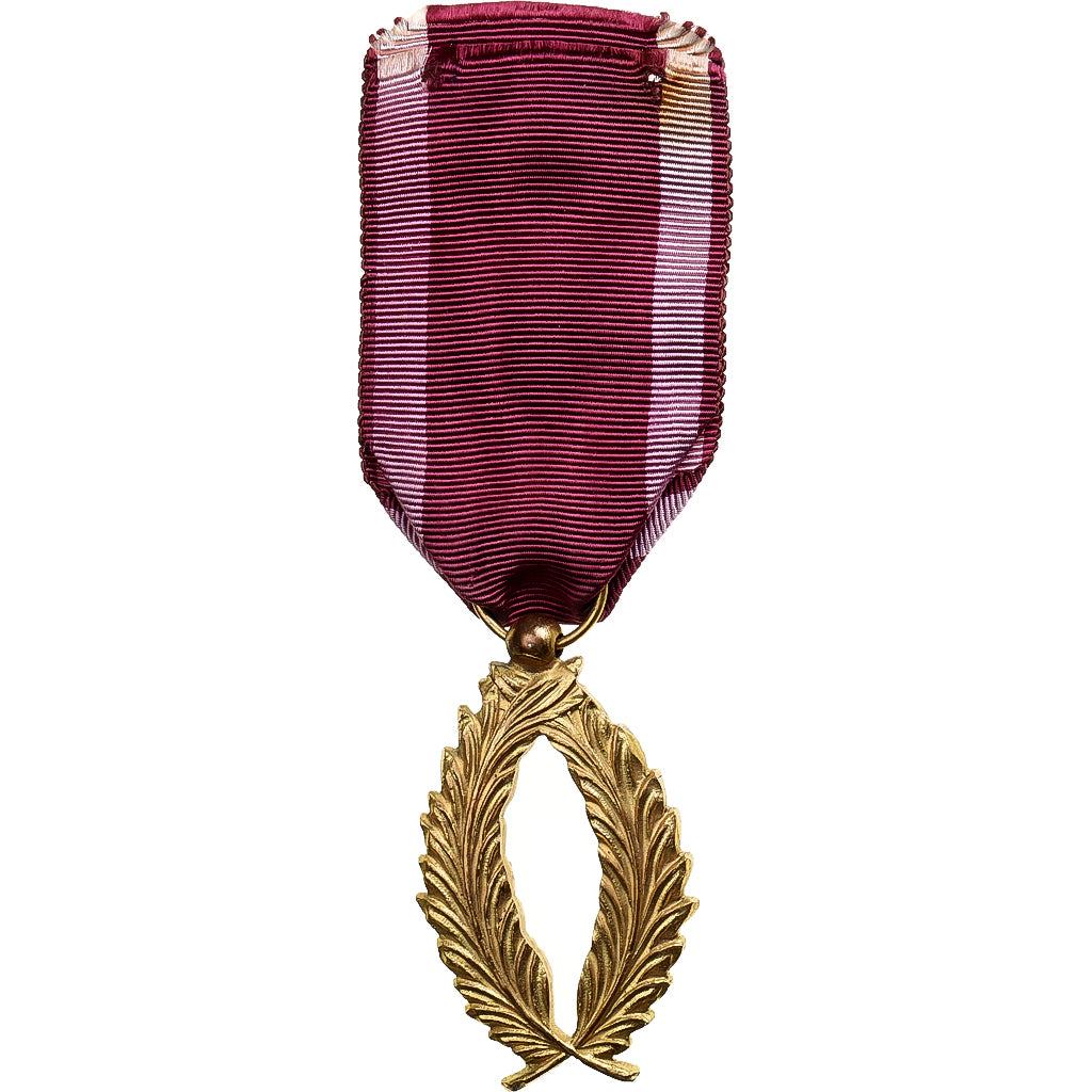 België, Ordre des Palmes Académiques, Medaille, Heel goede staat, Gilt Bronze