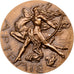 Francia, medaglia, Artemis, Déesse de la Chasse, Bronzo, Delamarre, SPL