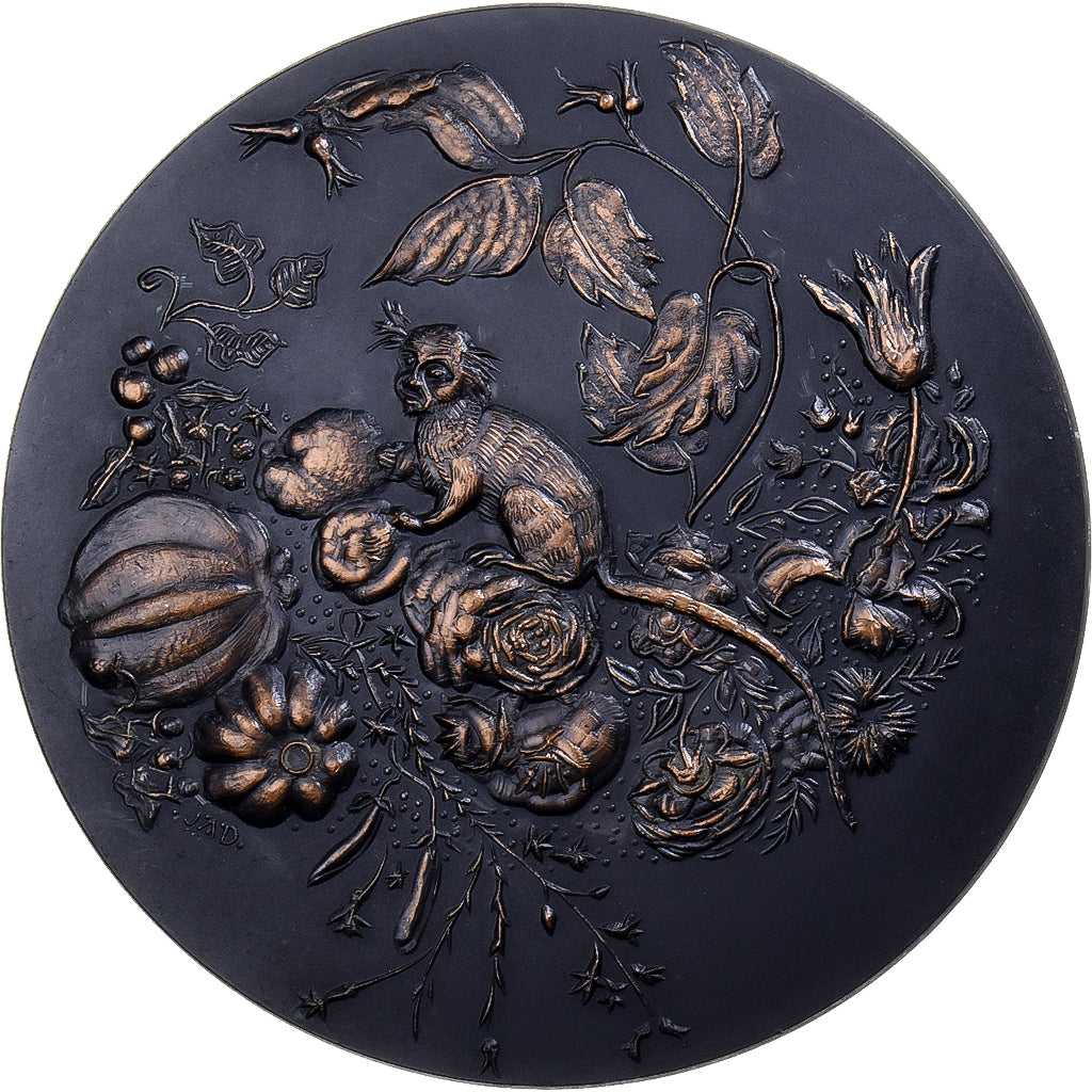 Francia, medaglia, Jean Bruegel De Velours, 1969, Monnaie de Paris, Bronzo