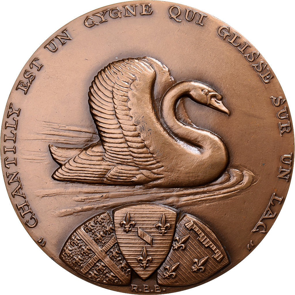 Francia, medaglia, Le Château de Chantilly, 1973, Bronzo, Baron, SPL