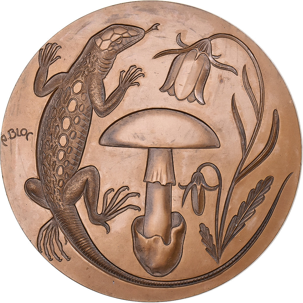 Francia, medaglia, Lézard, Ecureuil, Chouette, Bronzo, Bloc, SPL