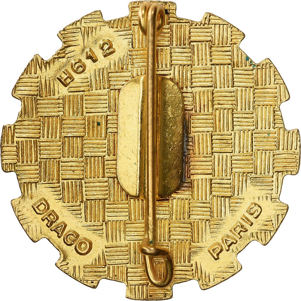 Frankreich, 524ème Groupe de Transport, WAR, Broche, Very Good Quality, Métal