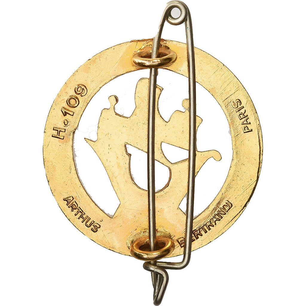 Frankreich, 43ème Régiment d'Infanterie, Military, Broche, Excellent Quality