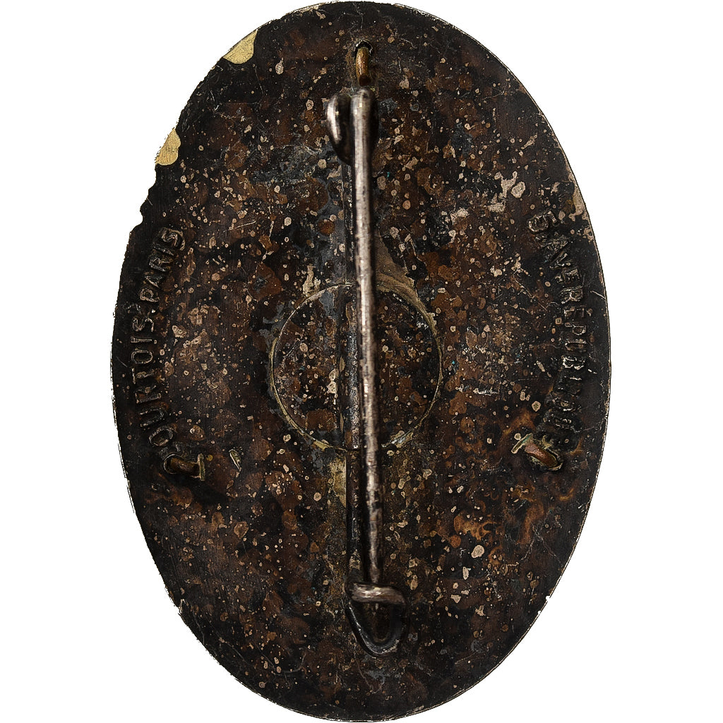 Francia, Régiment d'Infanterie Chars de Marine, Military, Broche, Ottima
