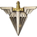 Frankrijk, Ecole des Troupes Aéroportées, Military, Broche, Heel goede staat
