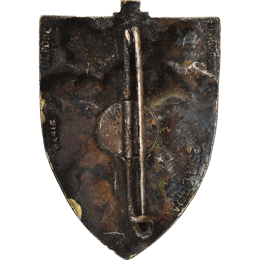 Francia, 1er Régiment de Chasseurs, Military, Broche, Excellent Quality