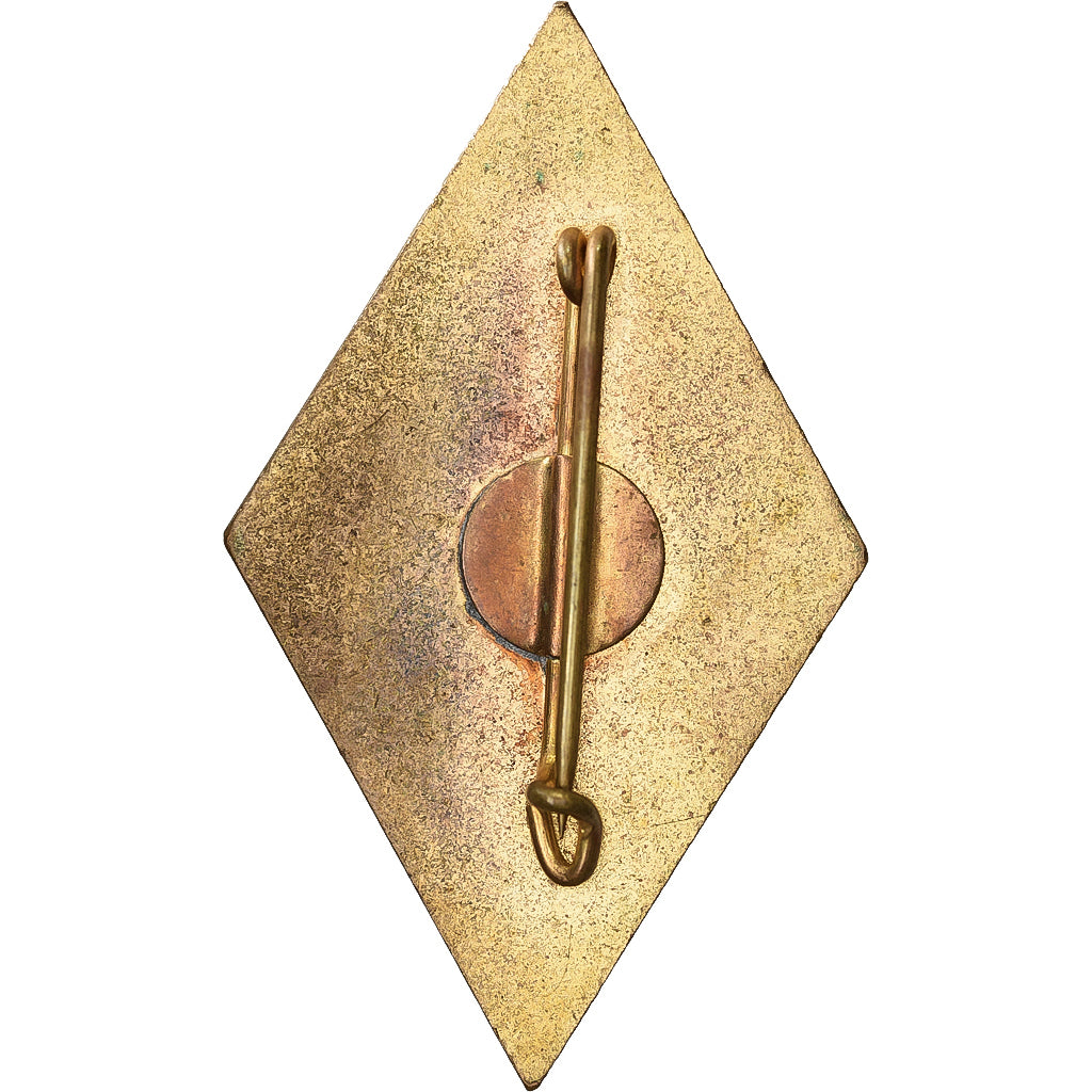 França, 58ème Régiment de TBE, Military, Broche, Qualidade Excelente, Métal