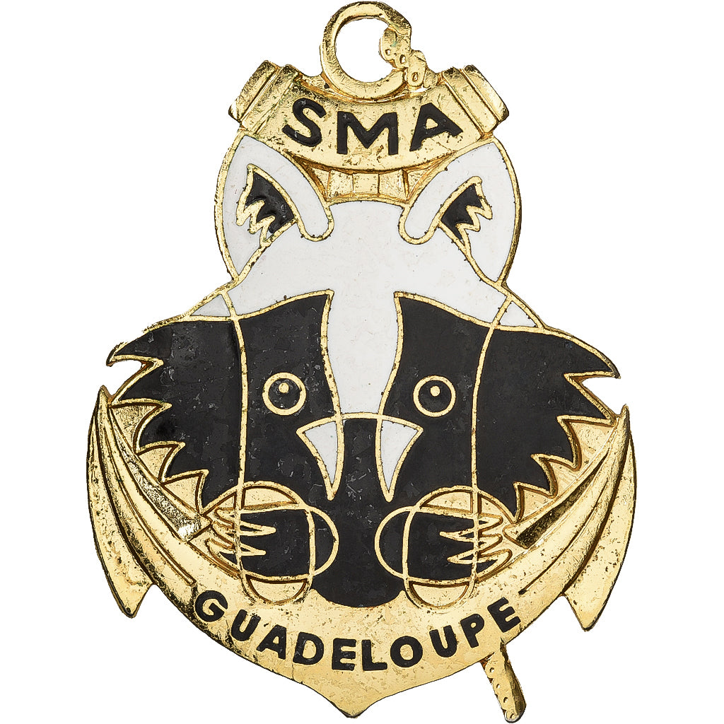 Francia, Service Militaire Adapté, Guadeloupe, Military, Broche, Eccellente