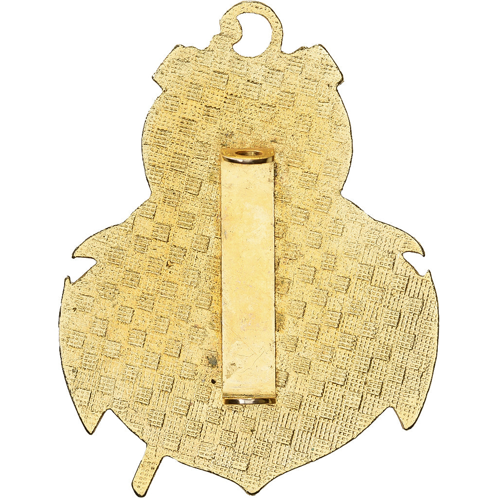 Francia, Service Militaire Adapté, Guadeloupe, Military, Broche, Eccellente