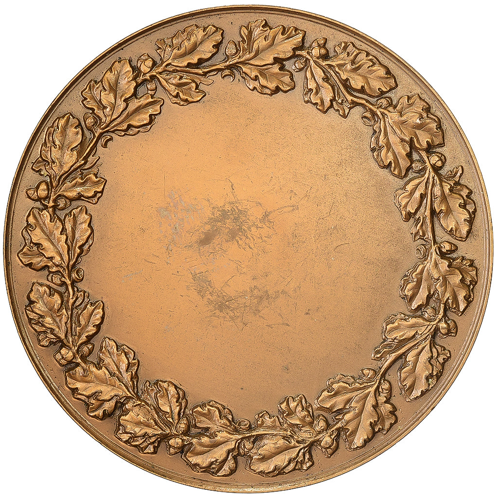 Francia, medaglia, Ville de Riedisheim, Bronzo, Coutré, SPL-