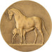 Francia, medaglia, Direction des Haras, Concours Central Hippique de Paris
