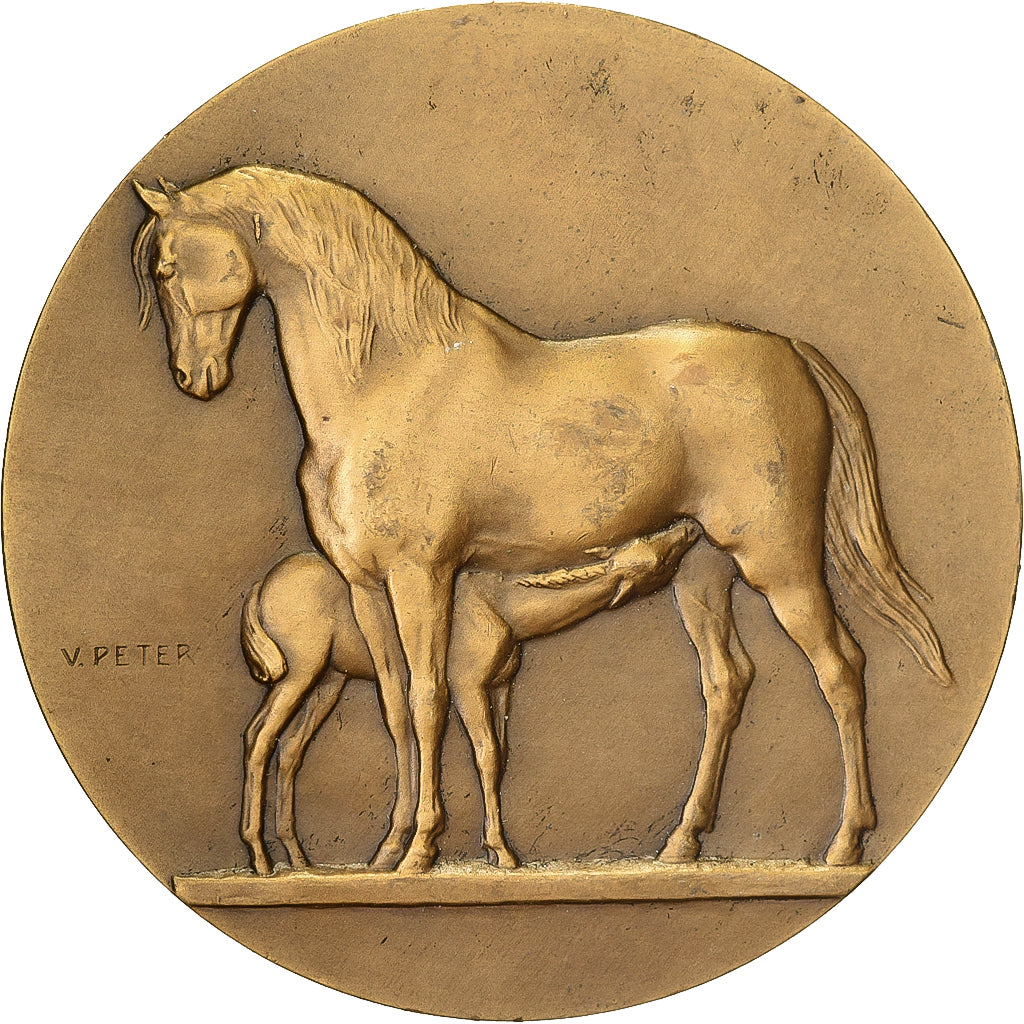 Francia, medaglia, Direction des Haras, Concours Central Hippique de Paris