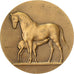 Francia, medaglia, Direction des Haras, Concours Central Hippique de Paris