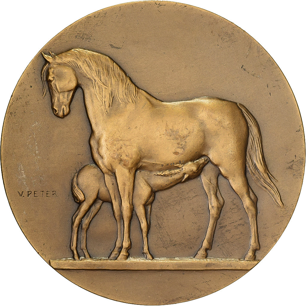 Francia, medaglia, Direction des Haras, Concours Central Hippique de Paris