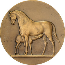 Francia, medaglia, Direction des Haras, Concours Central Hippique de Paris
