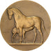 Francia, medaglia, Direction des Haras, Concours Central Hippique de Paris