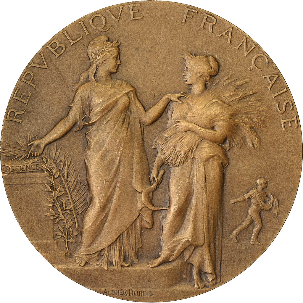 France, Médaille, Concours Central Hippique de Paris, 1906, Bronze, SUP