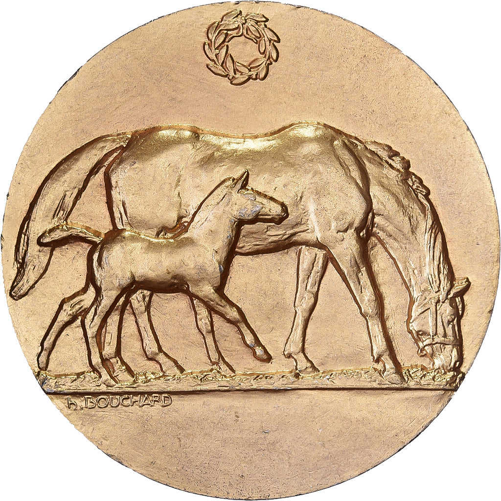 Francia, medaglia, Concours Central Hippique de Paris, 1939, Vermeil, Bouchard