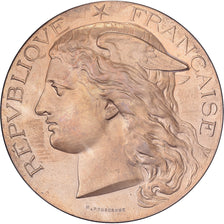 Francia, medaglia, Exposition Universelle, Chevaline et Asine, 1900, Bronzo