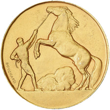 France, Médaille, Concours Central Hippique de Paris, 1935, Vermeil, SUP